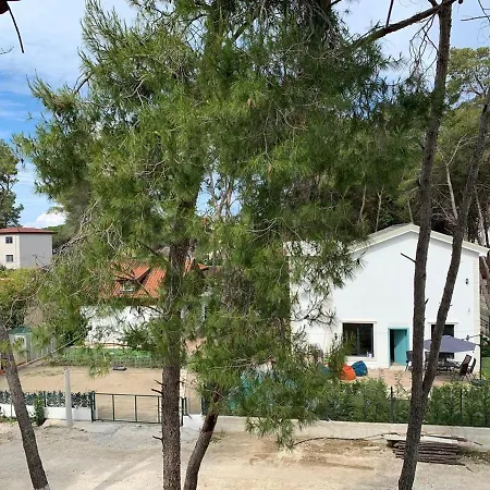 Allamani Golem (Tirana)